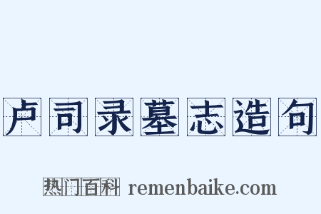 卢司录墓志造句是什么意思的图片